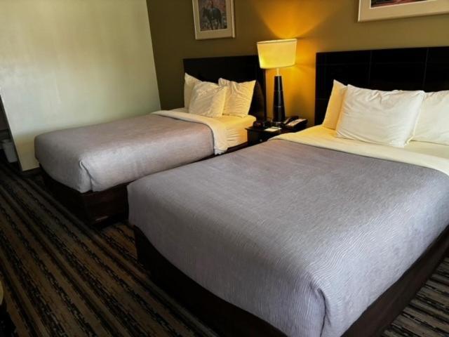 Quality Inn Navajo Nation Capital Window Rock Экстерьер фото